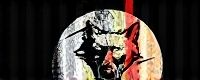 www wolf777